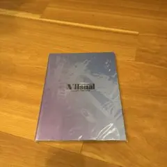 TravisJapan トラジャ VIIsual パンフレット　ステッカー付き
