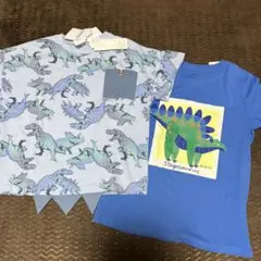 男の子半袖tシャツ2枚セット130㎝ 恐竜　H&M ブルー