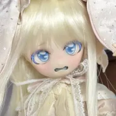 2026年最新】DD DDH-01 カスタムの人気アイテム - メルカリ
