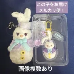 ステラルー シークレット・オブ・スノーウィーデイ　雪だるま ディズニー セット