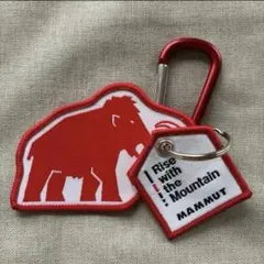 Item thumbnail for item 50a9c522-bd6f-4355-b04b-1ec2c552f08d