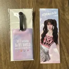 aespa カリナ　ボーディング風パス　ラゲッジタグ