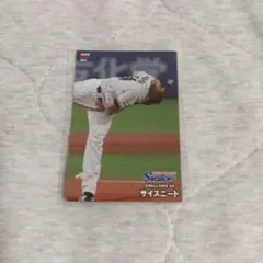 2025年最新】サイスニードの人気アイテム - メルカリ