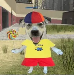 マリンガゼット専用