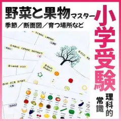 2026年最新】ジャック幼児教室の人気アイテム - メルカリ