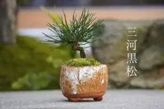 TKG21様 リクエスト 2点 まとめ商品