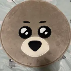 BTS RUNSEOKJIN IN JAPAN ピケットケース うちわカバー - メルカリ