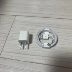 LightningケーブルとACアダプタセット　純正