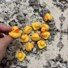 アヒル型バス用おもちゃ 11個セット