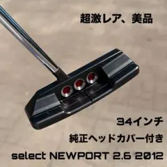 スコッティキャメロン セレクト ゴーロー s5 超激レア 極美品 33インチ
