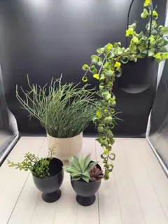 Lion23様 リクエスト 2点 まとめ商品