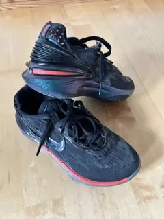 nike zoom バスケットボール