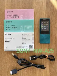 SONY WALKMAN NW-A25