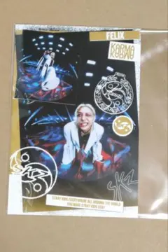 Stray Kids フィリックス KARMA 2カットフォト