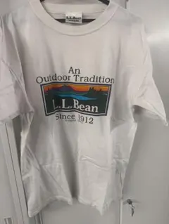 BILLABONG】USA製90sシングルステッチ・ロゴプリント短丈Tシャツ 