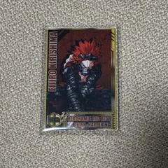 ヒロアカ　ステータスカードコレクション　切島鋭児郎