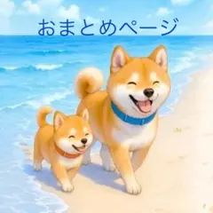 つーよん様 リクエスト 3点 まとめ商品