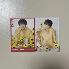 佐藤大樹 アクスタ シクレ フォトカ - メルカリ