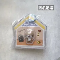 2026年最新】チャンダ ディノの人気アイテム - メルカリ
