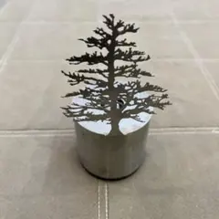 Item thumbnail for item 678328be-6456-4c0f-a179-b49b37517809