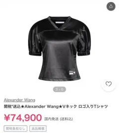 Alexander Wang Vネック サテン Tシャツのサムネイル