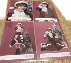 櫻坂46 向井純葉 2025年 サンタ衣装 生写真 4種コンプ