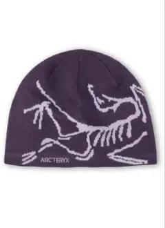 2026年最新】ARC'TERYX Bird Head Toqueの人気アイテム - メルカリ