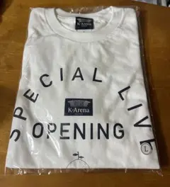 Item thumbnail for item c1a5d567-8ca3-446b-828c-ecf66d3b2b4c