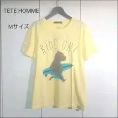 Item thumbnail for item 152f4185-9aff-4eb5-890f-a7f34de36318