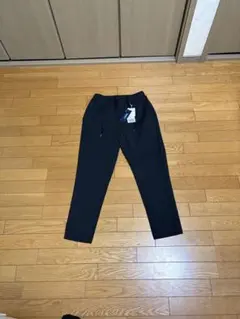 Item thumbnail for item cdedab93-2393-4bb7-a51e-a16a960319e8