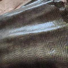 パイソン レザー