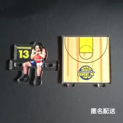 宇都宮ブレックス　2025-26選手おすわりminiアクリルスタンド渡邊裕規選手