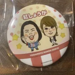 姫ちゃんのリボン 缶バッジ 当時物 - メルカリ