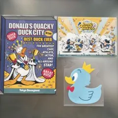 ⭐️ドナルドクワッキーダックシティ　クリアホルダー３点