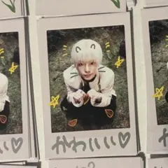 &TEAM HARUA ハルア Back to Life BtL トレカ