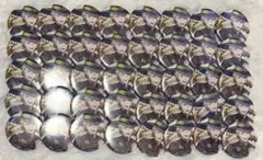 ツイステ セベク ブルーム缶バッジ 40点セット