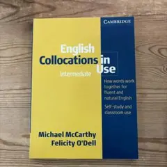 English Collocations in Use Intermediate