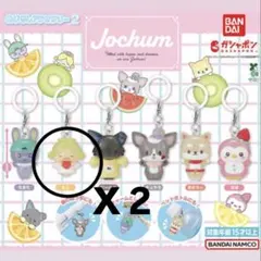 JO1 JOCHUM めじるしアクセサリー もこ 大平祥生 2点セット