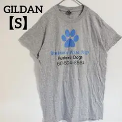GILDAN 【S】グレー Tシャツ 犬の足跡デザイン