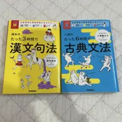 たった3時間で漢文句法 & たった6時間で古典文法