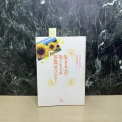 生きる力を取りもどす写真セラピー