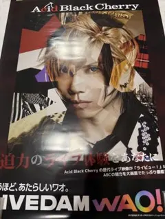 Acid Black Cherry ライビュー！　ポスター