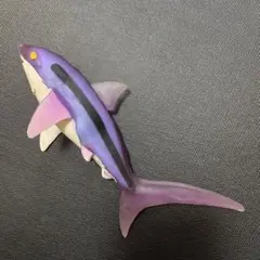 ニタリ シャークアタック　&co デアゴスティーニ　アンドコ