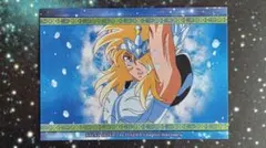 聖闘士星矢 冥王ハーデス十二宮編 トレカ 氷河 - メルカリ