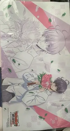 2025年最新】ミチル プレイマットの人気アイテム - メルカリ