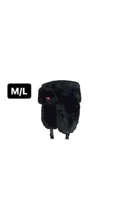 Item thumbnail for item ea72d811-ad89-4f4b-a272-100bf4a3918f