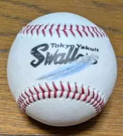 ヤクルトスワローズ 練習球・実使用