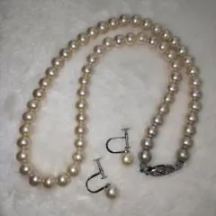 Item thumbnail for item a12a480f-a71d-4fca-ab96-de1cd2f310dc