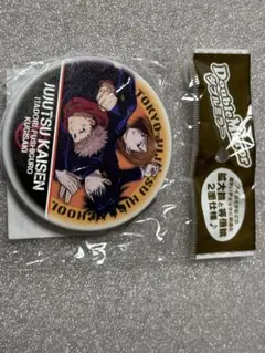 ダブルミラー　呪術廻戦