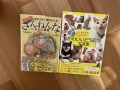 Item thumbnail for item 32cd9705-9bd1-44b0-8130-5c80ce436dd5